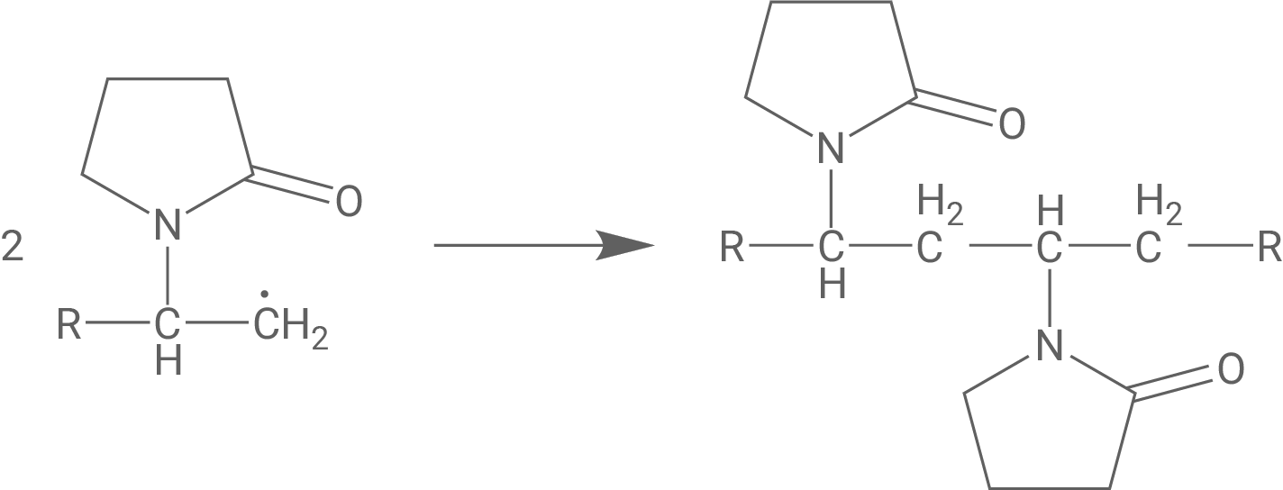 Schematische Chemiezeichnung: zwei Pyrrolidon‑Ringe verbinden sich zu einer Kette